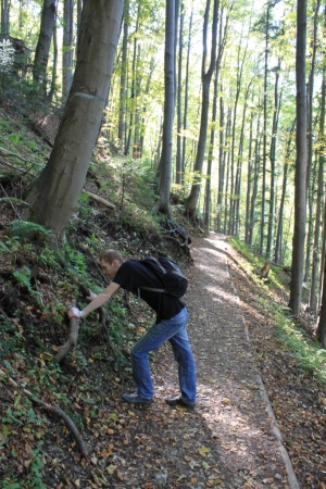 Przy zamku Pieniny